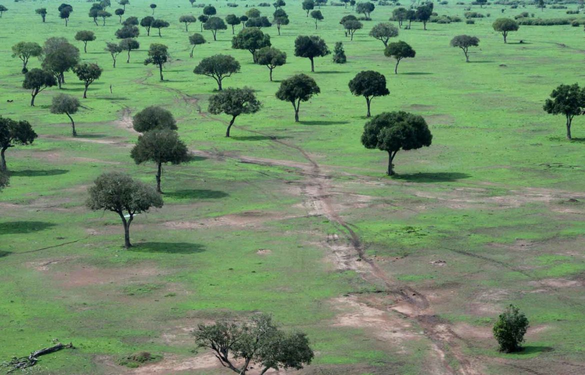 Kenia Reisen im Aufwind