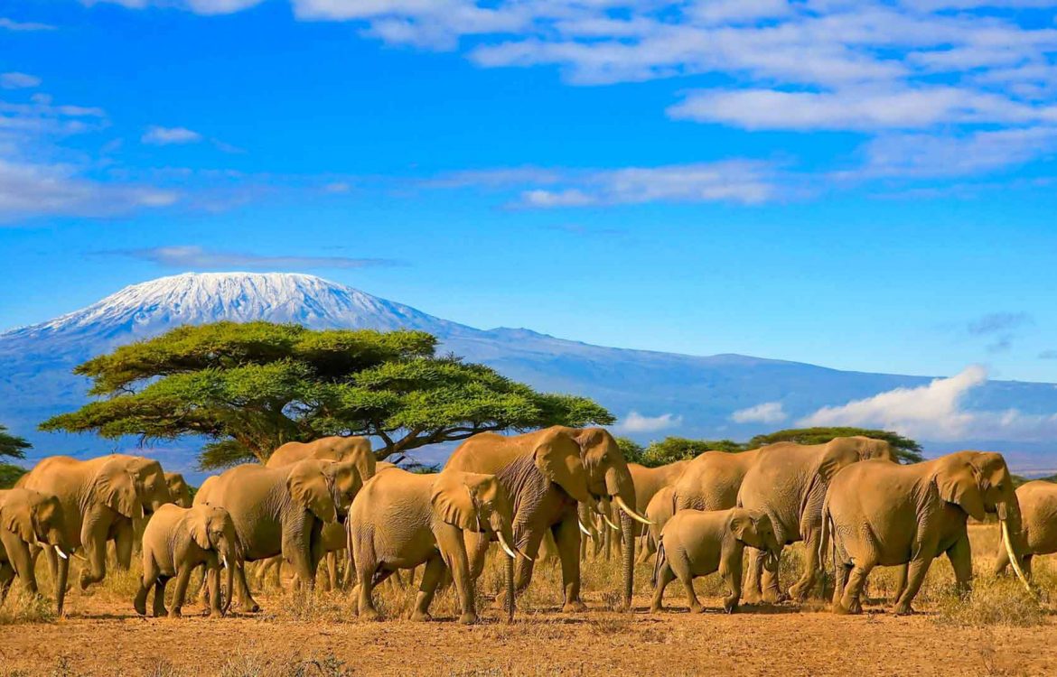 Sicherheit auf Kenia Reisen