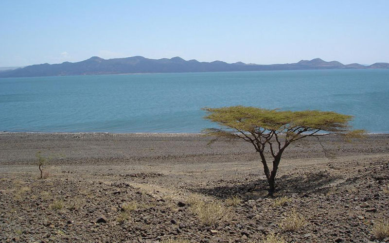 Turkana See